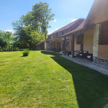 Dvor Villa Donja Toponica Exterior photo